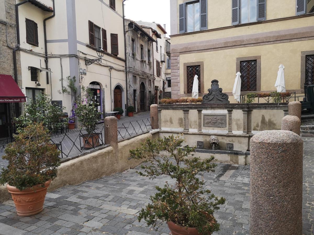 Appartamento Miralago ボルセーナ エクステリア 写真